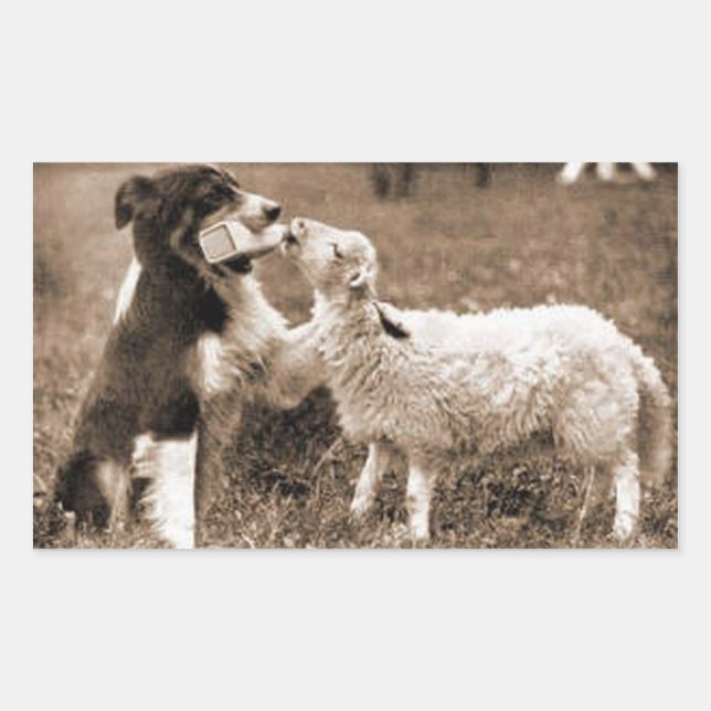 "Border Collie and Lamb"~Sticker Rectangular Sticker (Front)