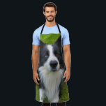 Border Collie Apron<br><div class="desc">A handsome fellow.</div>