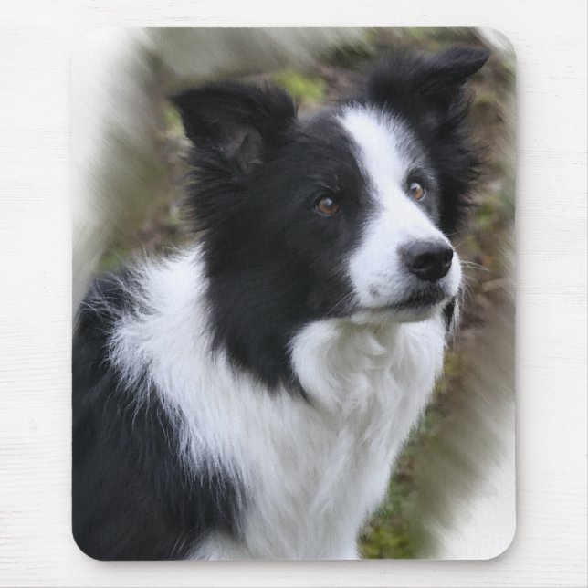 Border Collie Art Gifts Mouse Mat (Front)
