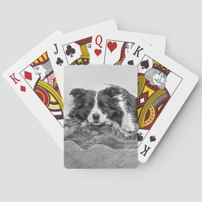 Border Collie Art Playing Cards (Back)