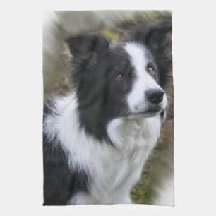 Border Collie Art Tea Towel