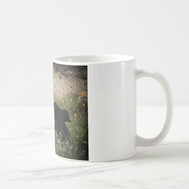 Border Collie Australian Shepherd Mix Coffee Mug (Right)