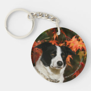Border Collie Autumn Headshot Key Ring