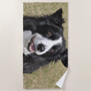 Border collie beach towel