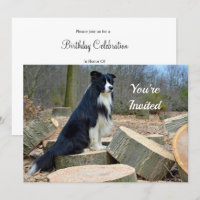Border Collie Birthday Invitation