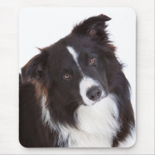 Border Collie Black And White Puppy Dog Mouse Mat