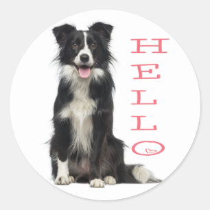 BORDER COLLIE BLACK AND WHITE PUPPY DOG PINK HELLO CLASSIC ROUND STICKER