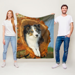 Border Collie Blue Merle Dog Cute Portrait Photo - Fleece Blanket