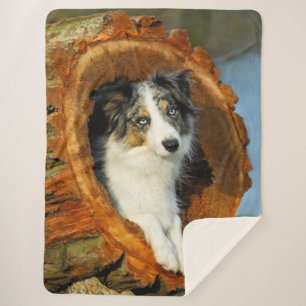Border Collie Blue Merle Dog Head Photography Pet Sherpa Blanket