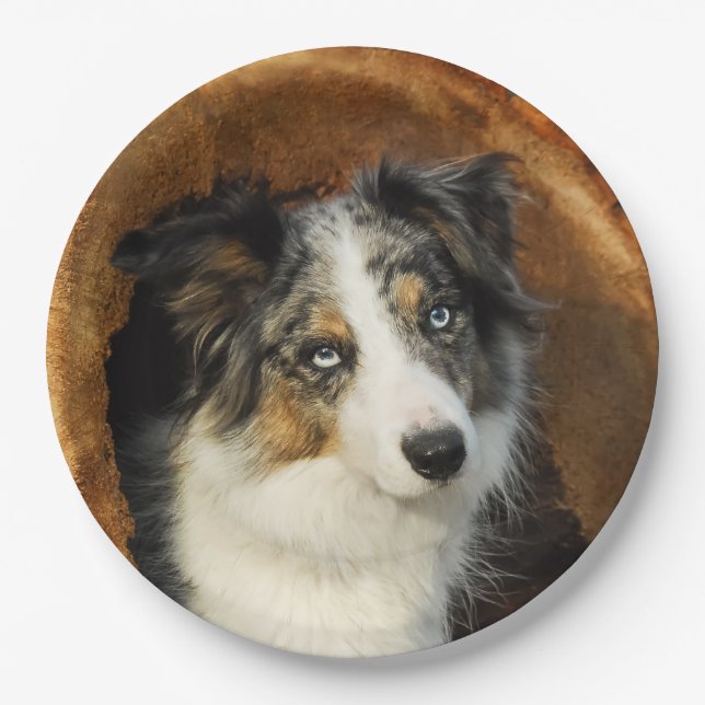 Border Collie Blue Merle Dog Portrait, Happy Party Paper Plate (Front)
