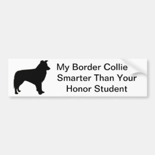 Border Collie Bumper Sticker