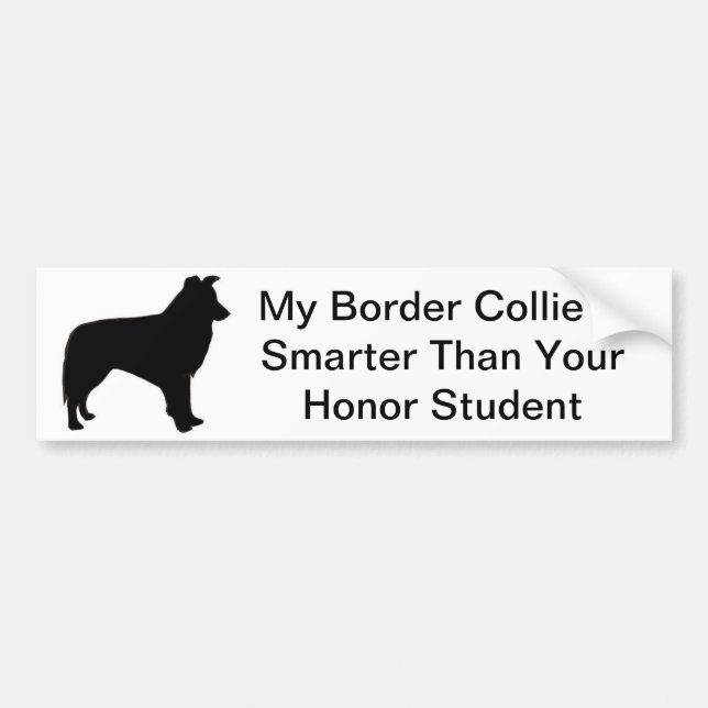 Border Collie Bumper Sticker (Front)