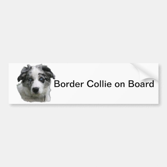 Border collie bumper sticker (Front)