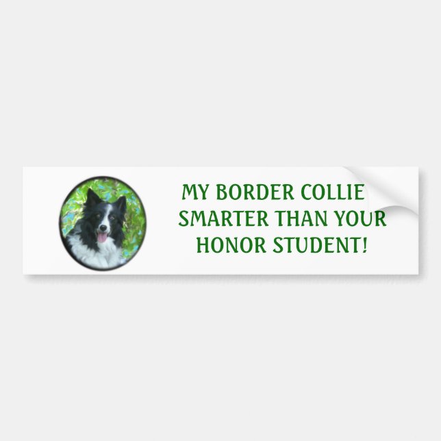 Border Collie Bumper Sticker (Front)