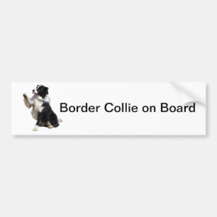 border collie bumper sticker