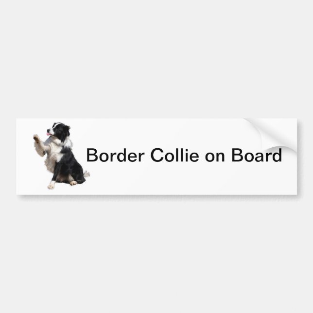border collie bumper sticker (Front)