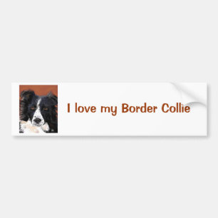Border Collie bumper sticker
