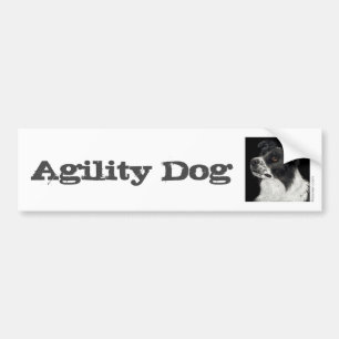 Border Collie Bumper Sticker - "Ben" 3