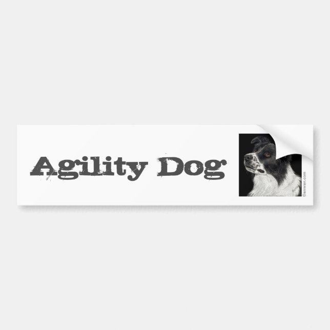 Border Collie Bumper Sticker - "Ben" 3 (Front)