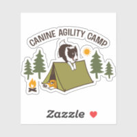 Border Collie Canine Agility Camp Fun Dog