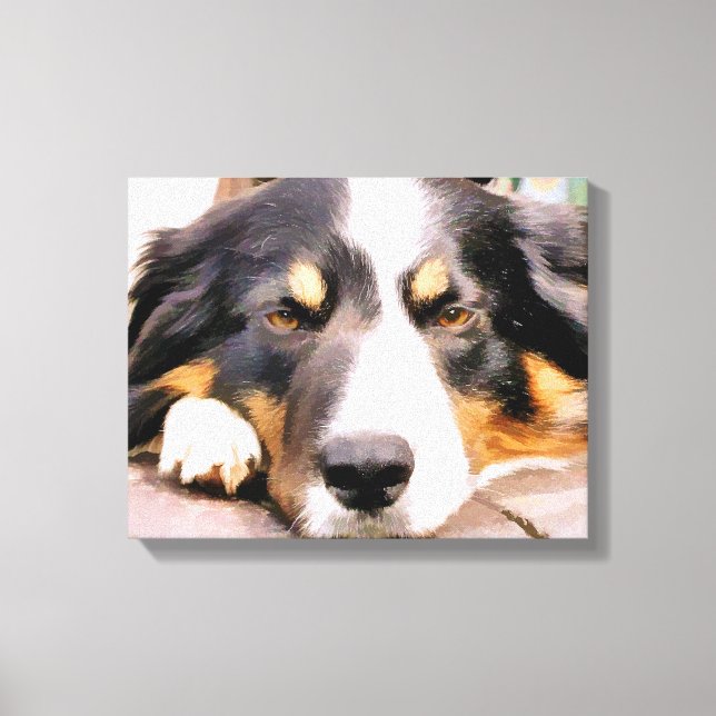BORDER COLLIE CANVAS PRINT (Front)