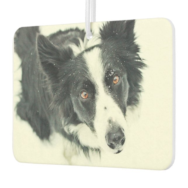 Border Collie Car Air Freshener (Left)