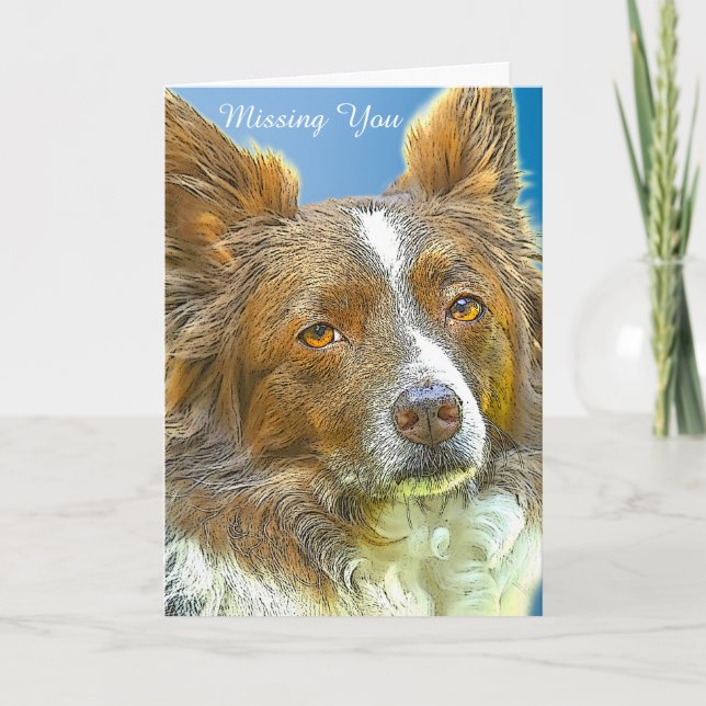 Border Collie Card (Front)