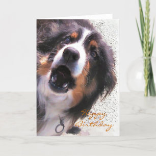 BORDER COLLIE CARD