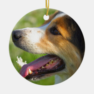 Border Collie Ceramic Tree Decoration