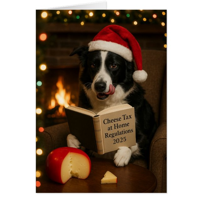 Border collie 'Cheese Tax' Christmas card (Front)