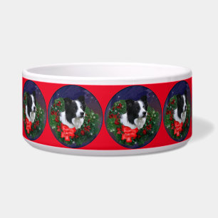 Border Collie Christmas  