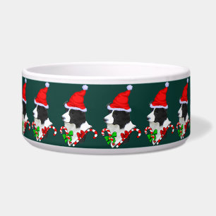Border Collie Christmas  