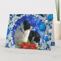 Border Collie Christmas card