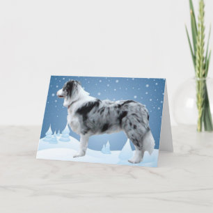 Border Collie Christmas Card
