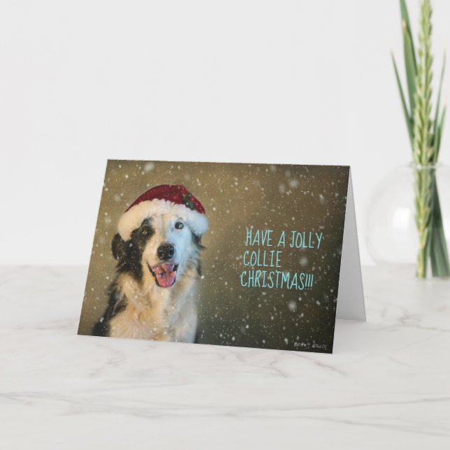 Border Collie Christmas card. Holiday Card (Front)