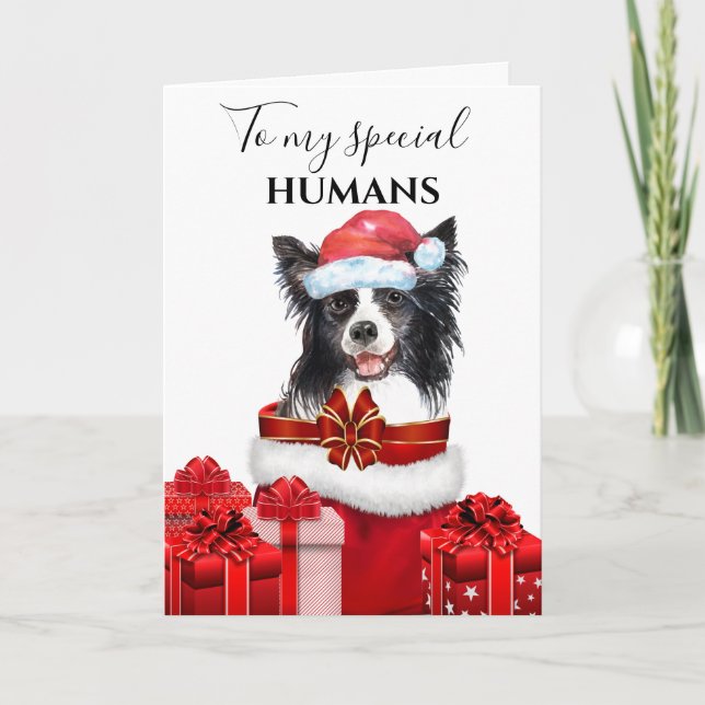 Border Collie Christmas Family wishes message Card (Front)