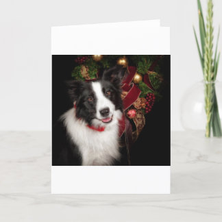 Border Collie Christmas Holiday Card