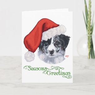 Border Collie Christmas Holiday Card