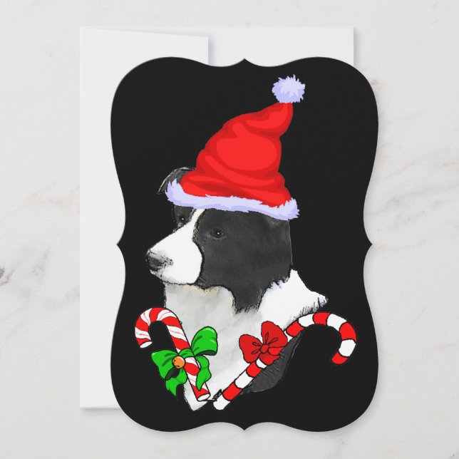 Border Collie Christmas Holiday Card (Front)