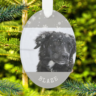 Border Collie Christmas Personalised Pet Photo Ornament