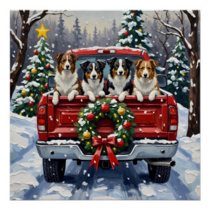Border Collie Christmas Red Truck Holiday Poster