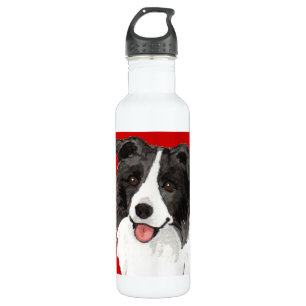Border Collie Colour Block 710 Ml Water Bottle