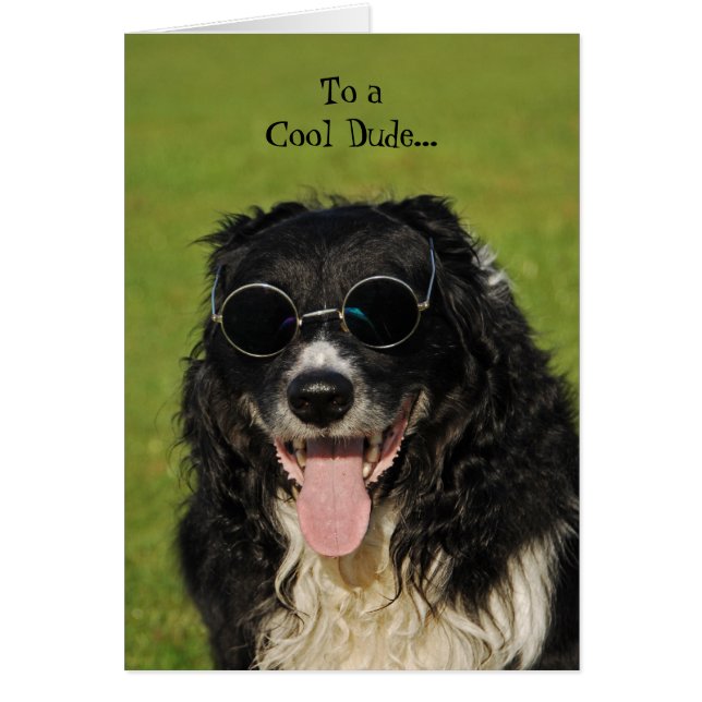 Border Collie Cool Dude Card (Front)