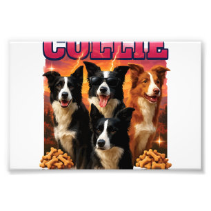 Border Collie Copy Copy Copy Photo Print