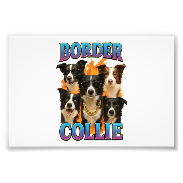 Border Collie Copy Photo Print (Front)