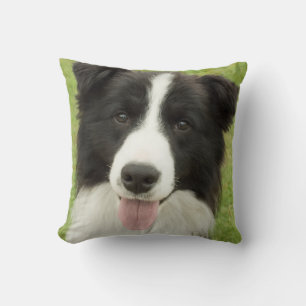 Border Collie Cushion