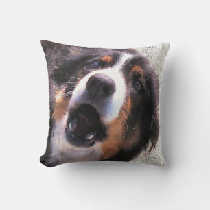 BORDER COLLIE CUSHION