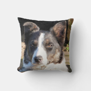 BORDER COLLIE CUSHION