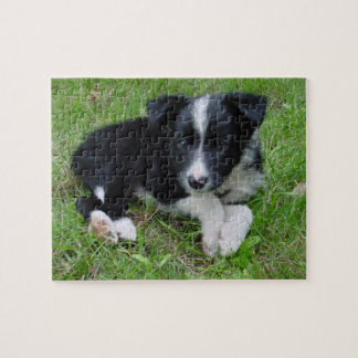 Border Collie Customisable Puzzle! Jigsaw Puzzle