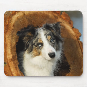 Border Collie cute dog portrait Mouse Mat